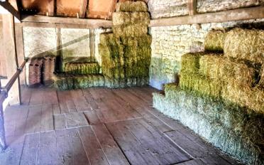Ferme 4.5 pièces - image - 10