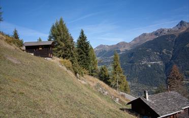Chalet 3.5 pièces - image - 1