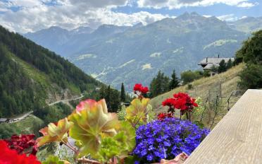 Chalet 5.5 Zimmer - image - 19