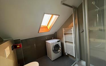 Appartement meublé 1.5 pièces - image - 4