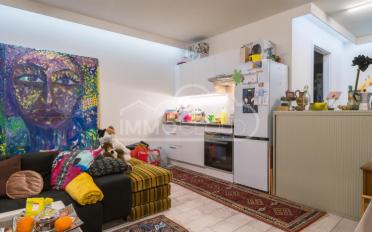 Residential building 1 room - image - 9