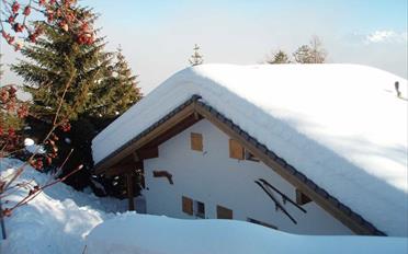 Chalet 7 Zimmer - image - 2