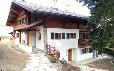 Chalet 8 Zimmer - image - 1