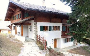 Chalet 8 Zimmer - image - 1
