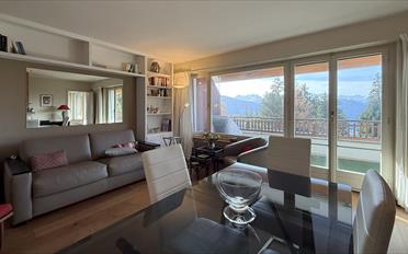 Wohnung 2.5 Zimmer - image - 1