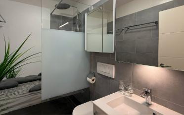 Apartment 4.5 rooms - image - 12