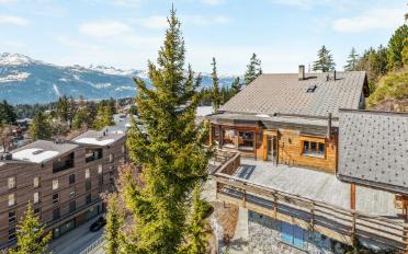 Chalet 10.5 Zimmer - image - 2