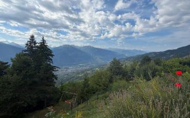 Chalet 5.5 pièces - image - 11