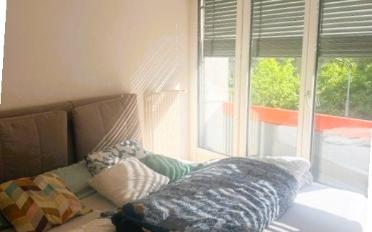 Wohnung 2.5 Zimmer - image - 5