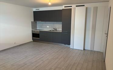 Studio 1 room - image - 3