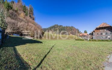 Single house 2.5 rooms - image - 3
