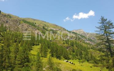 Building land - image - 4