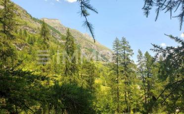 Building land - image - 5