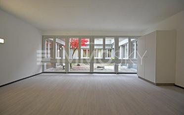 Studio 3.5 Zimmer - image - 5
