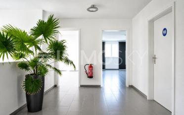 Büro 2 Zimmer - image - 3