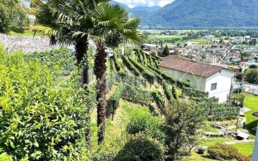 Bauland - image - 3