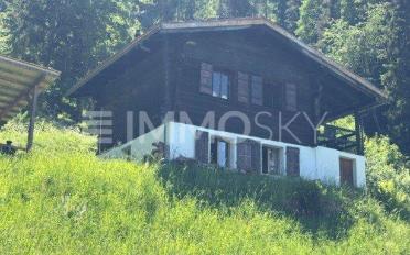 Single house 3.5 rooms - image - 2