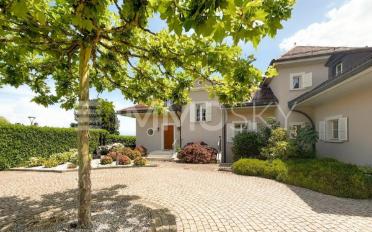 Single house 12 rooms - image - 2