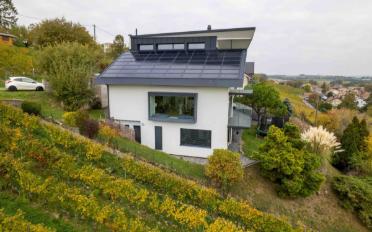 Villa 10 Zimmer - image - 2