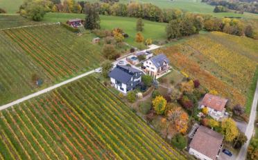 Villa 10 Zimmer - image - 1