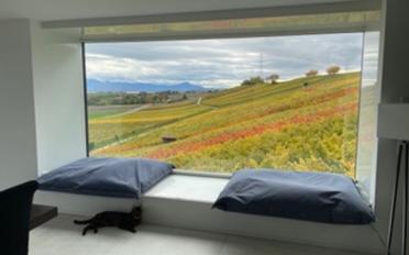 Villa 10 Zimmer - image - 9