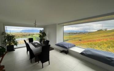 Villa 10 Zimmer - image - 8