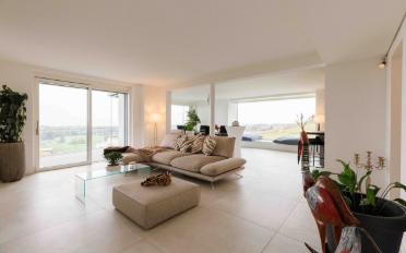 Villa 10 Zimmer - image - 12