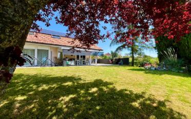 Einfamilienhaus 5.5 Zimmer - image - 1