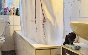 Wohnung - image - 10