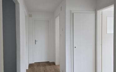 Appartement 3 pièces - image - 6