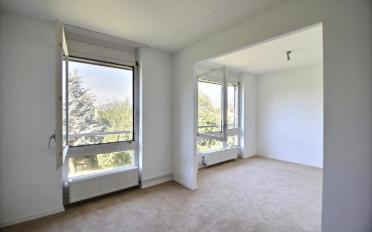 Maison contiguë - image - 4