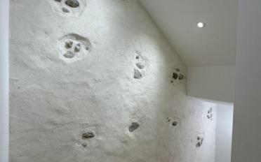 Wohnung 5.5 Zimmer - image - 4