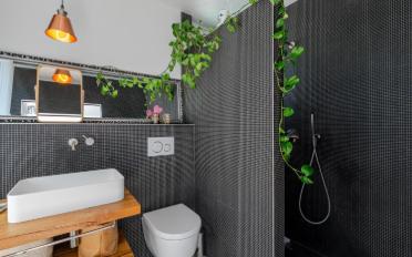Maison contiguë 7 pièces - image - 10