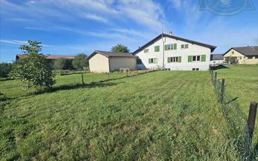Doppeleinfamilienhaus 6.5 Zimmer - image - 3