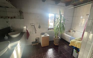 Single house 8 rooms - image - 7