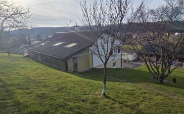 Einfamilienhaus 5.5 Zimmer - image - 3