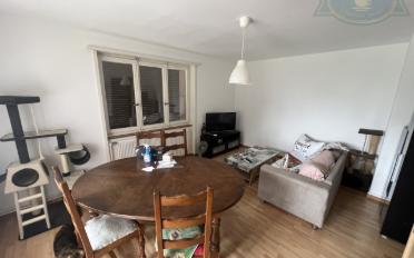 Immeuble résidentiel - image - 8