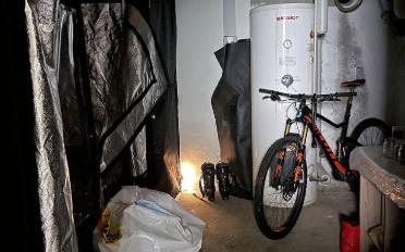 Wohnung 4 Zimmer - image - 19