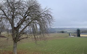 Villa 4.5 Zimmer - image - 3