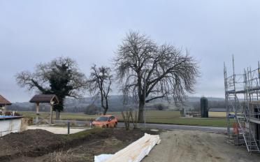 Villa 4.5 Zimmer - image - 9