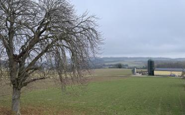 Villa 4.5 Zimmer - image - 13