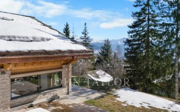 Chalet 10 rooms - image - 2