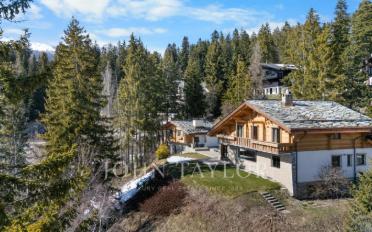 Chalet 10 rooms - image - 3