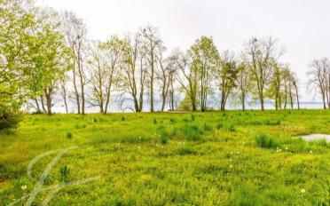 Building land - image - 2