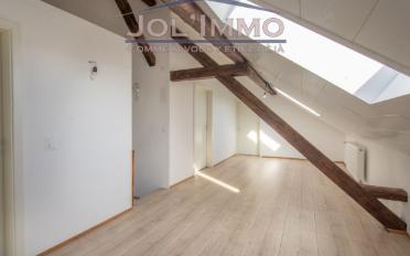 Appartement 6.5 pièces - image - 6