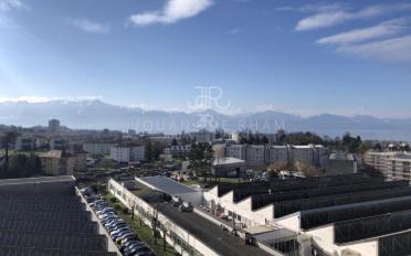 Appartement - image - 3