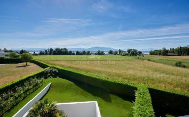 Single house - image - 7