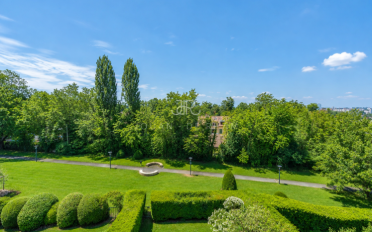 Duplex 8 Zimmer - image - 13