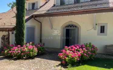 Single house - image - 1