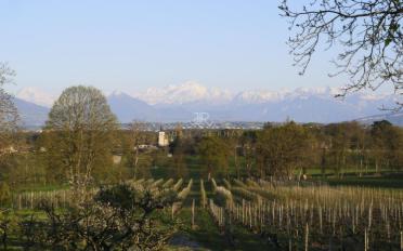 Einfamilienhaus - image - 3